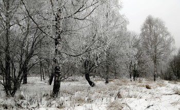 Зимнее серебро / Поседели леса, убояясь зимы...