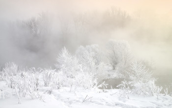 Морозное кружево / Туман и иней на озере Горячка.