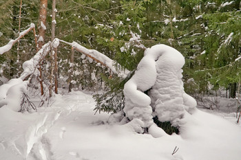 Снежные заносы в лесу. / Снежные скульптуры в лесу. Мое видение. Скульптура деда мороза смотрит направо. И курит сигару. Или кто что видит!