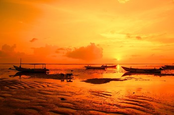 Оранжевое утро... / Сонные лодки, отлив, рассвет и собаки