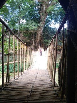 Близкое далёко / Бамбуковый мост