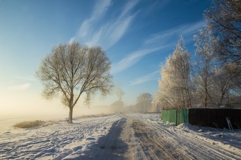 зимний туман / ***