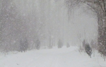 Мело ,мело,по всей земле,во все пределы... / Снегопад в Москве