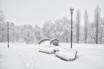 тишина... / зима, Москва, парк
