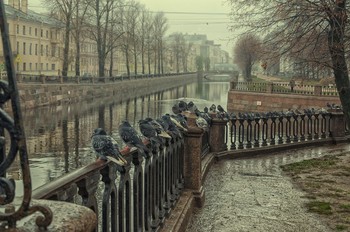 Да нормальная погода, ребята... / Петербург, Крюков канал.