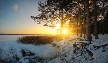 Вечерний берег / Зима на Случи