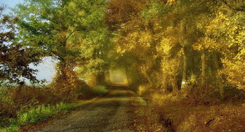 Туман и Солнце . / Тот момент когда расходится туман и светит солнце .. Осенний пейзаж . Зарисовка .