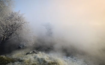 Зимний контраст / Тёплые воды озера Горячка.