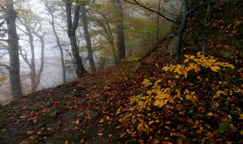 Осенние тропы........ / Железноводск. Октябрь