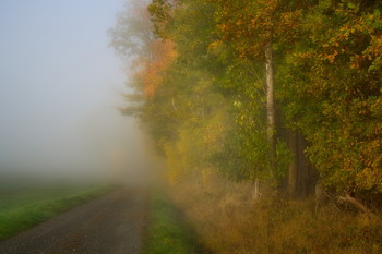 Плотность тумана / Осенний пейзаж . Зарисовка.