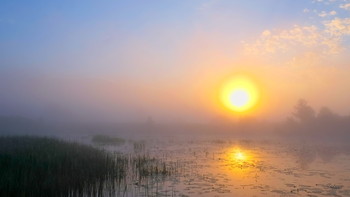 Утро туманное. / Озеро Сосновое.