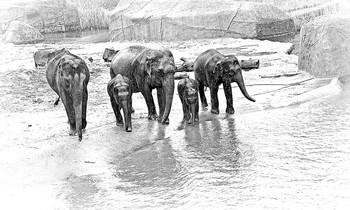 &nbsp; / У РУБЕЖА (под дождём)