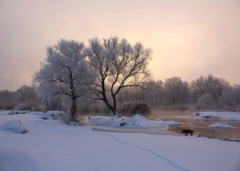 Рассвет реки Бог. / Зимний пейзаж на Реке Южный буг. С. Мигея . Украина.
