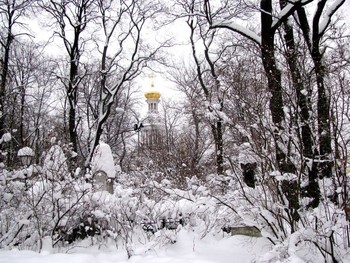 Санкт- Петербург, Смоленское кладбище. / Морозный снежный день в Питере