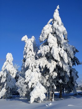 Много снега бывает / Север Иркутской области