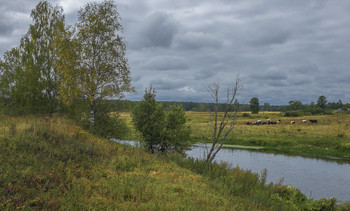 Осенняя пастораль. / Река Сестра, деревня Высоково.