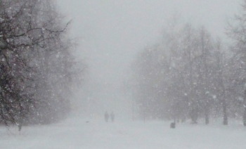 За снежной пеленой! / Прогулка в снегопад-парк