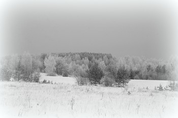 Пасмурно / Пасмурный зимний день