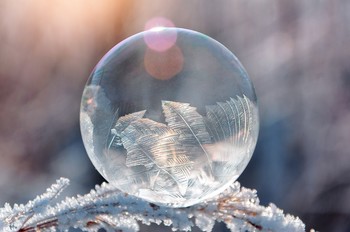 Преображение / Мыльный пузырь в момент замерзания. Фантастическое чувство испытываешь, когда видишь, как снизу вверх по поверхности сферы ползут кристаллы.
