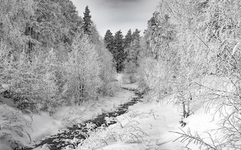 Зимняя речка / Морозная зима