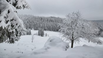 Мои долины / В заповеднике после снега
