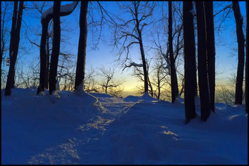 Рассвет в лесу / Зима