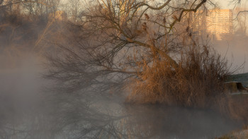 Туман / Город , туман , склонённые ветви , камыш , вода , отражения .
Зима в Краснодаре