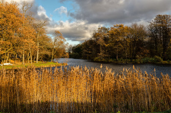 Закат на Елагином острове. / Петербург. Елагин остров. Октябрь 2018.