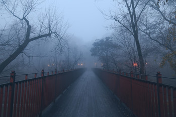 В тумане утреннем / Туманное утро в Гомельском парке Румянцевых и Паскевичей