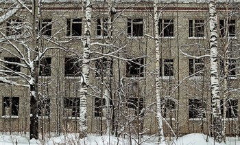 windows19 / Город Лесной, 10 февраля 2019 года от Р. Х.