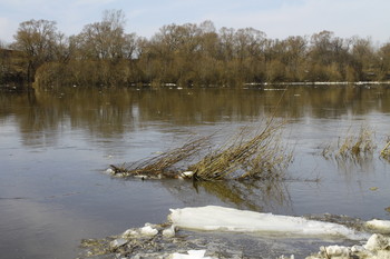 река Ока в Поленове (Тульская область) / Весеннее половодье на Оке в Поленове