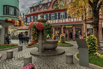 Праздник хризантем в городе Лар (Lahr), Германия / Праздник хризантем в городе Лар (Lahr), Германия