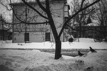 Про голубей на фоне парикмахерской номер два / Nikkor AF 35/2.0 D на открытой. 
Есть в этом что-то чертовски притягательное :)
Тольятти, Соцгород. Февраль 2019 года