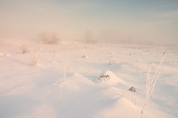 Февральская стужа / Зимние туманы февраля 2018г.