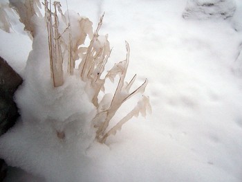 Февральская стужа / Снег и лёд