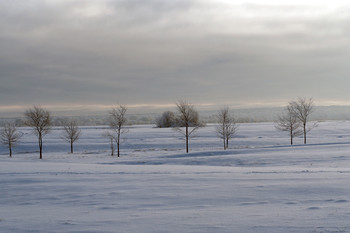 Февральская стужа / На Боголюбовском лугу