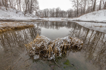 &nbsp; / Самарская область