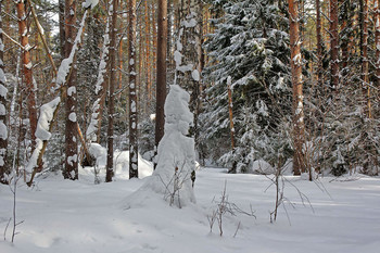Снежные зарисовки в лесу. / Кто что видит! Я вижу снежный человечек, обнимает березу, и смотрит направо.