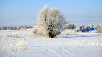 Морозно. / Зимний пейзаж в поле у Оки.
