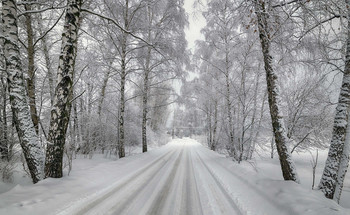Зимняя дорога / мороз
