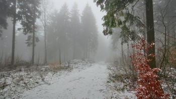 Тупиковая дорожка / Туманные зимние деньки