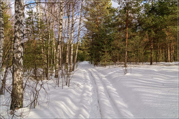 Февраль в Подмосковье 4 / Февраль в Подмосковье 4