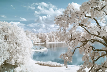 Pushkin infrared / infrared photo