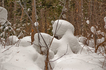 Снежные сугробы. / Зима 2019.г 20=февраля. снято. Снежные заносы в лесу.