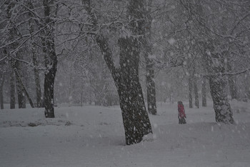 А снег идёт...... / Москва,февраль