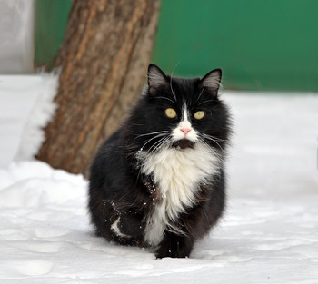 Охотник / зима, природа