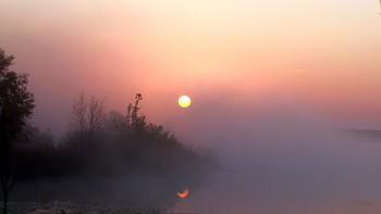 Осеннее утро. / ***