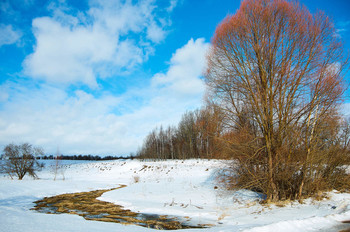 Весна идёт! / Снято под Мещовском