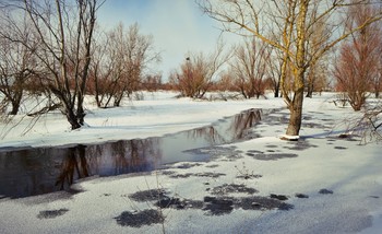 первые шаги весны / зима