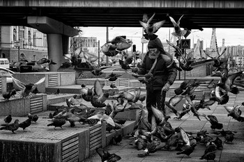 Голубиная страна / [img]https://i.postimg.cc/JnTz4r9h/DSC04901.jpg[/img]